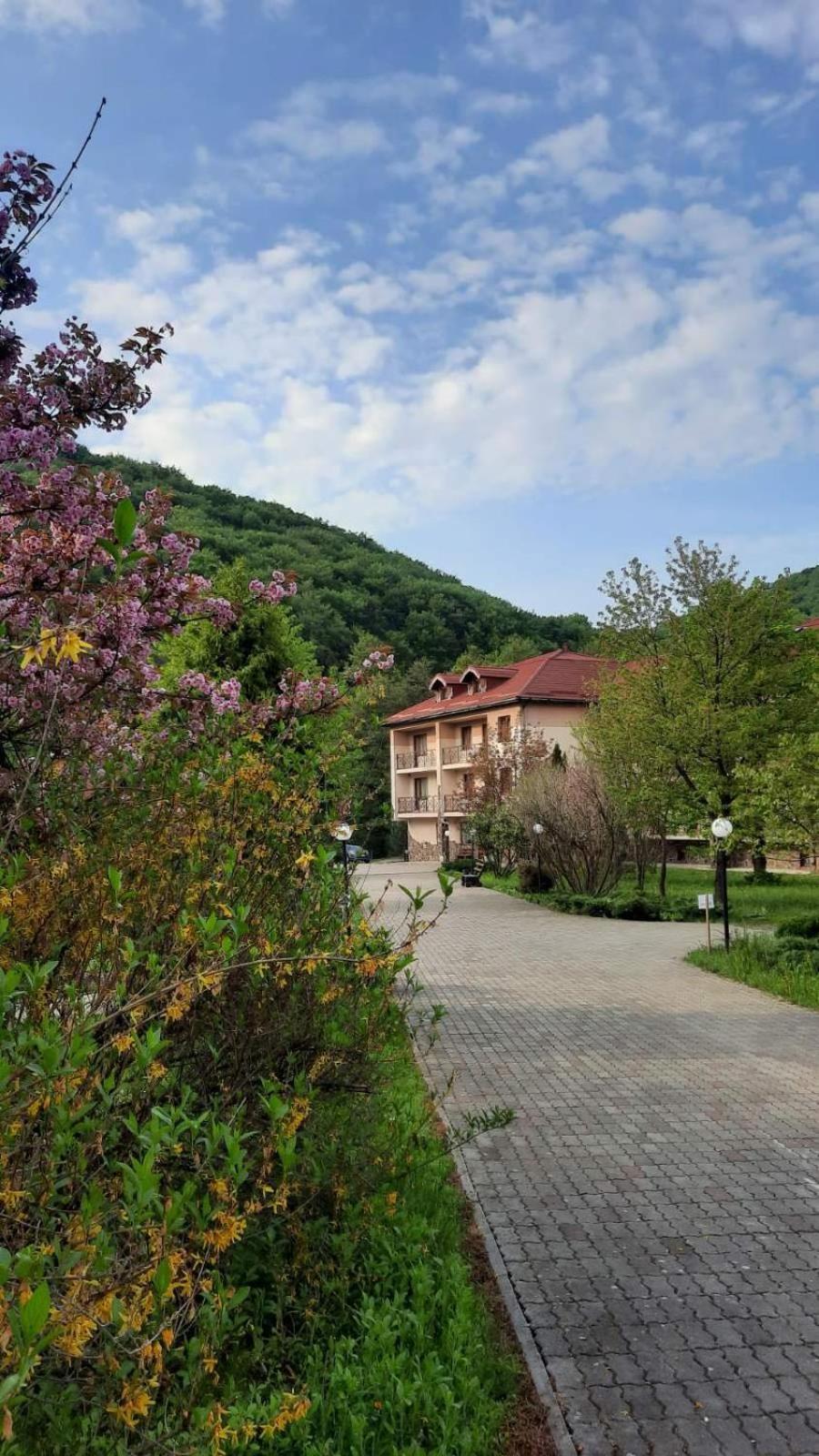 Bogolvar Retreat Otel