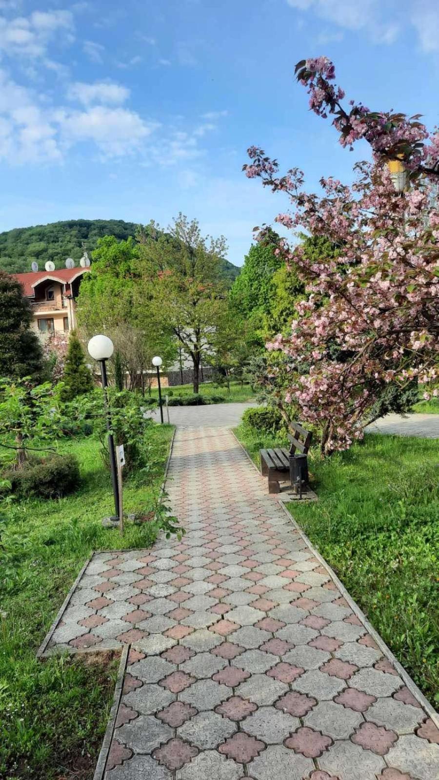 Bogolvar Retreat Otel